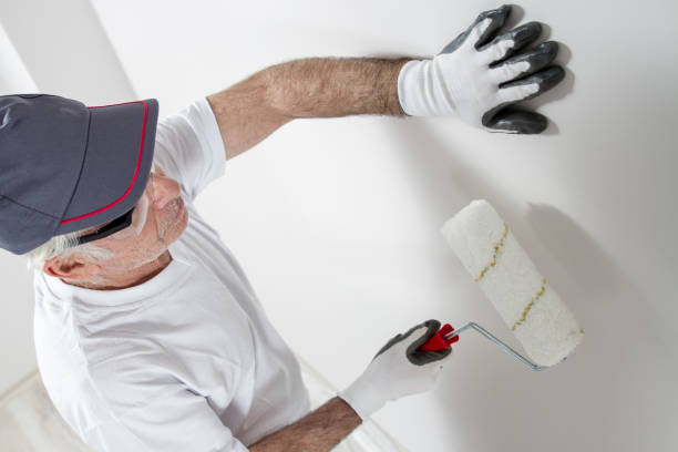 Best Water Damage & Mold Remediation  in Castlewood, VA